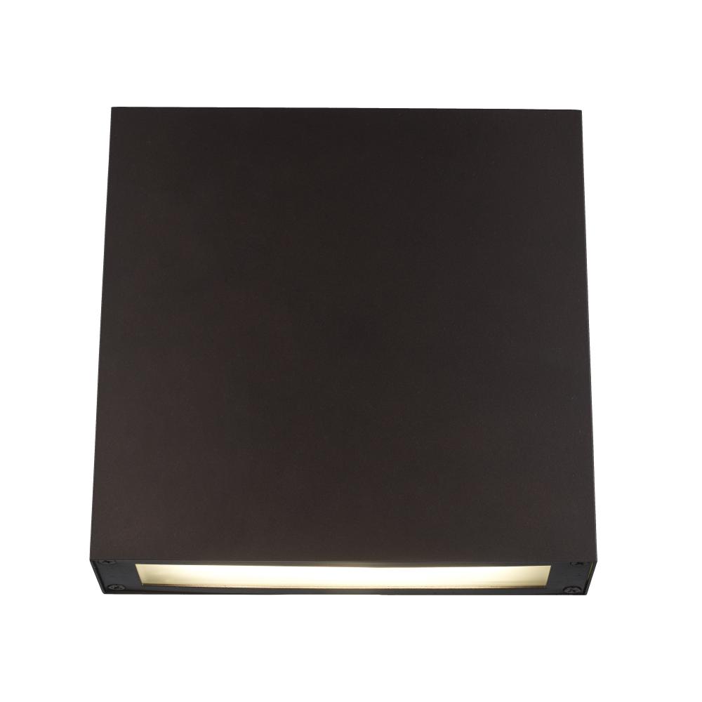 LED POCKET LANTERN-ADA-BZ